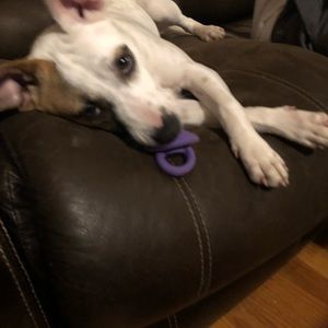 Meet your Posher, Jackie